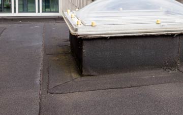 disadvantages of Leith flat roofs